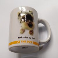 約瑟爹利犬