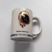 金毛尋回犬