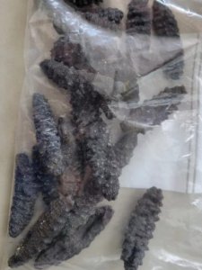 南美海參1000克密實袋裝